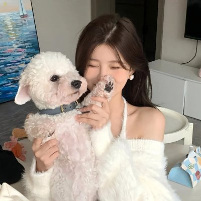 湾畔倾情第五季